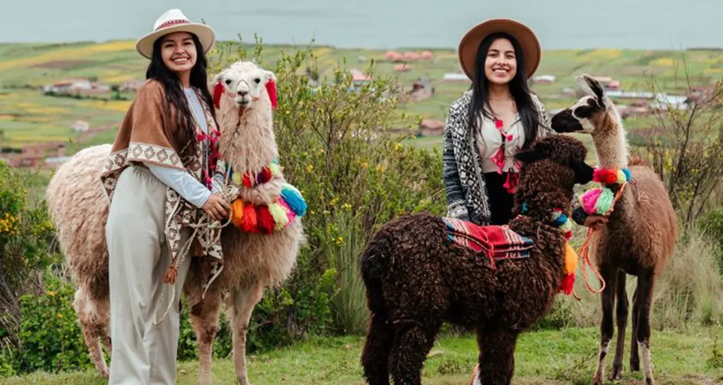 Picnic with Llamas